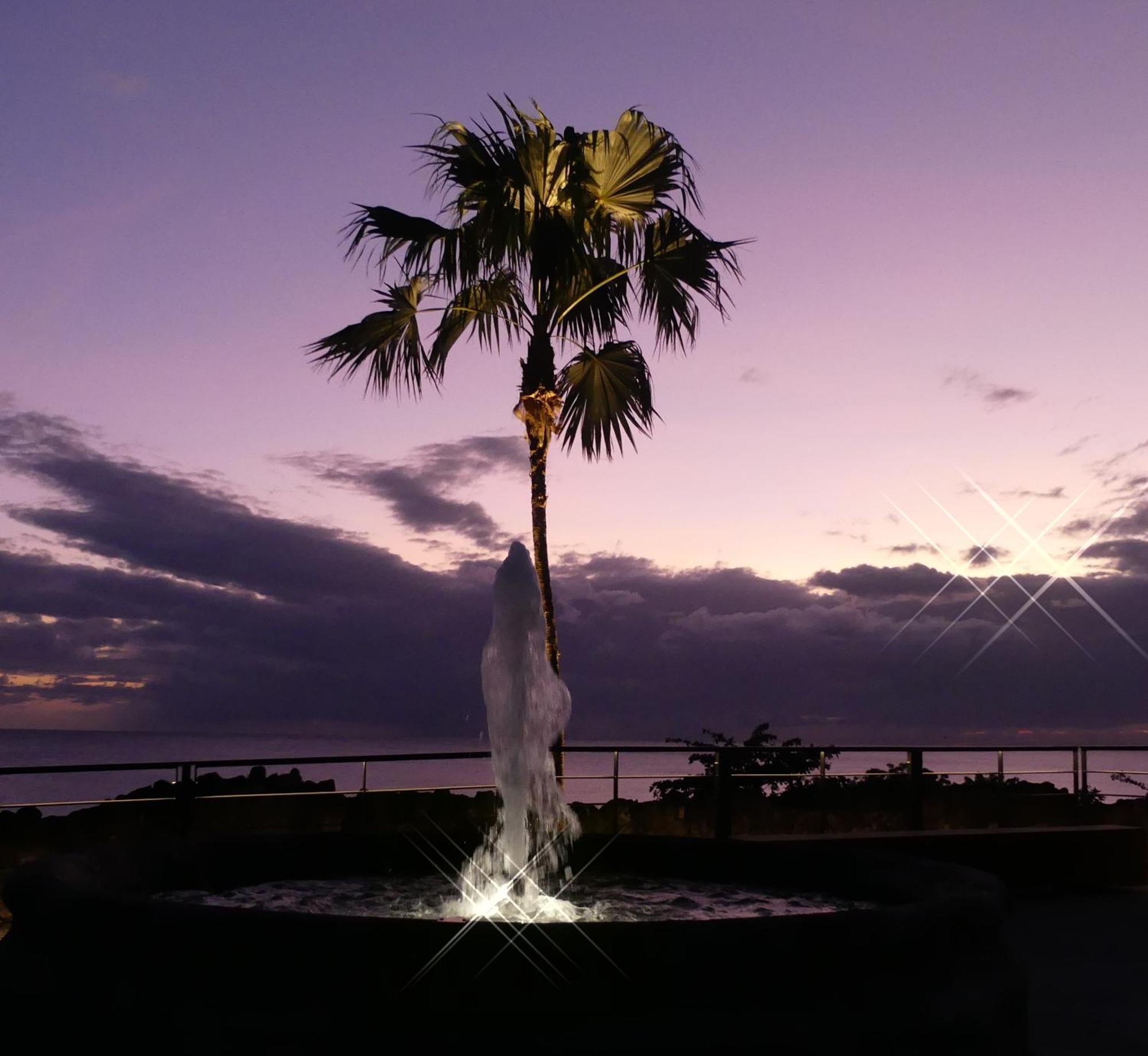 Caraibes Holidays سانت آن المظهر الخارجي الصورة